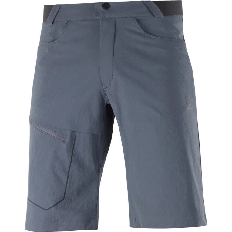 Navy Salomon Wayfarer Men's Shorts | IE NY0352